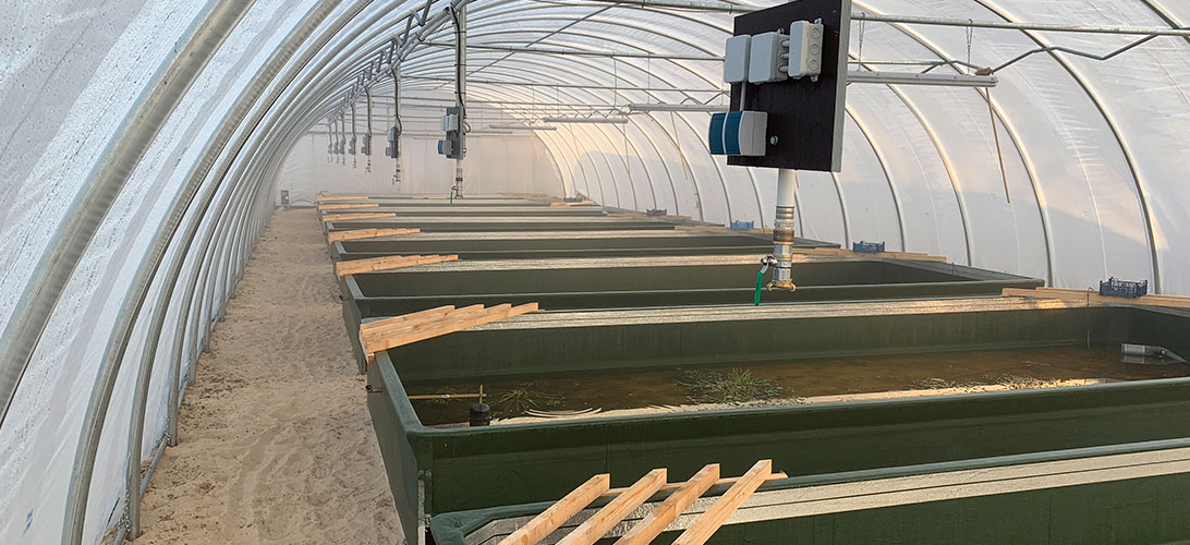 bi 2107 halle7 09 1092