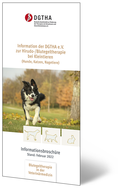 Informative brochure, petits animaux