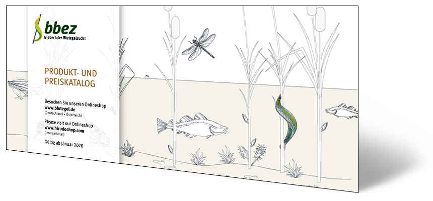 Catalogue des produits